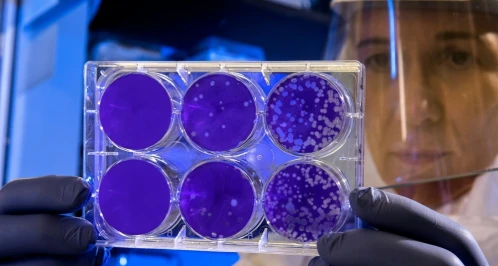 What a 2005 Mouse Study Taught Us About Ageing, Regeneration and the Future of Exosome Therapy