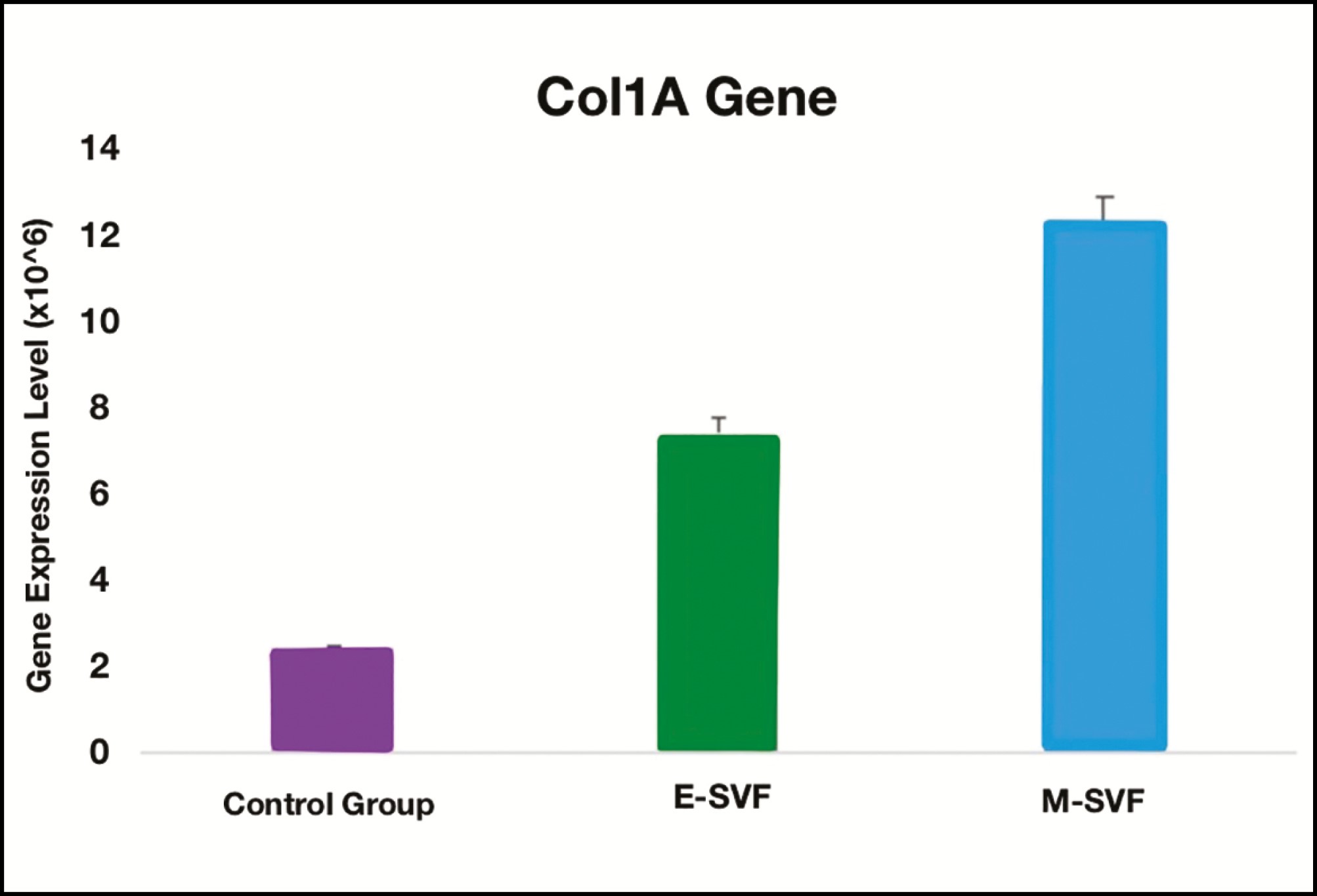 Figure 5. Real-time polymerase chain reaction determination of the expression of collagen type 1 (Col1A) level compared to the 18S RNA reference gene of cells obtained after mechanical isolation and enzymatic isolation (M-SVF and E-SVF, respectively). Col1A expression was 1.5 higher in cell populations isolated by M-SVF than in cell populations obtained by E-SVF (control, 2.5 [1.3] × 106; E-SVF, 7.5 [2.4] × 106; M-SVF, 12.5 [1.2] × 106; P ≤ 0.05).